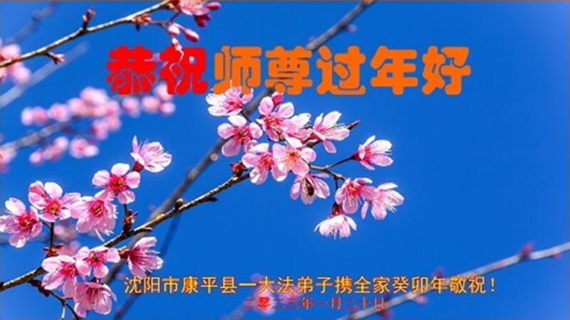 沈阳法轮功学员恭祝李洪志大师新年好(23条)