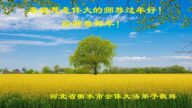 河北法輪功學員恭祝李洪志大師新年好(21條)