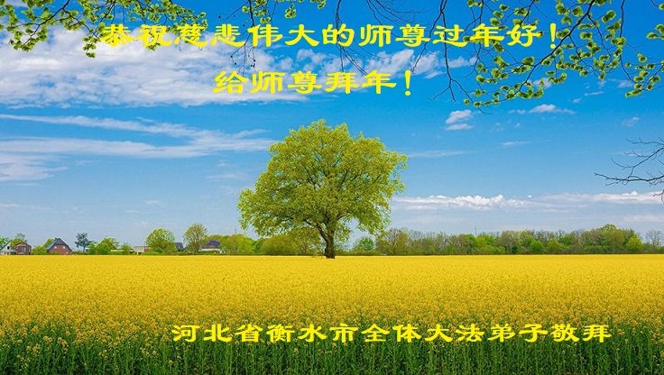 河北法轮功学员恭祝李洪志大师新年好(21条)