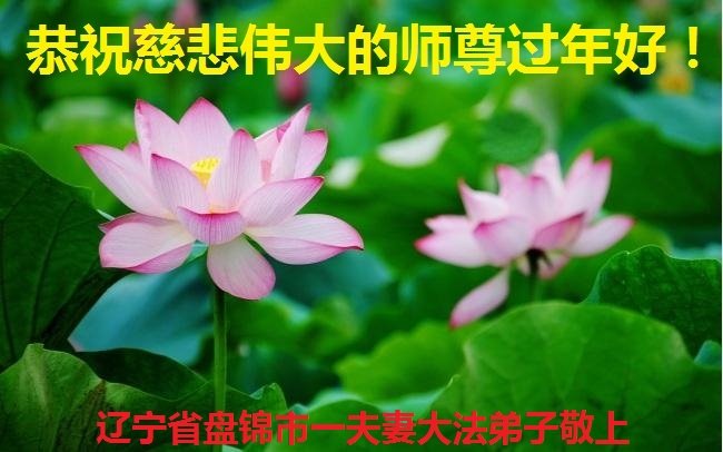 辽宁法轮功学员恭祝李洪志大师新年好(37条)