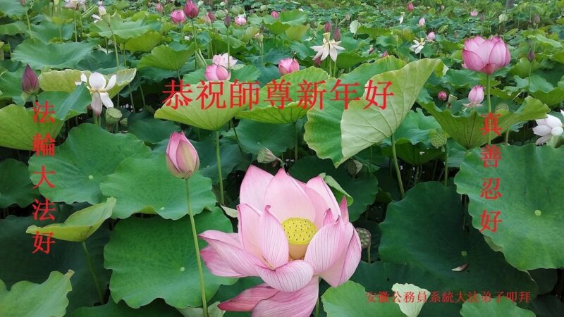 安徽、河北、福建法轮功学员恭祝李洪志大师新年好(46条)