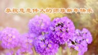 甘肅、廣東、廣西法輪功學員恭祝李洪志大師新年好(43條)