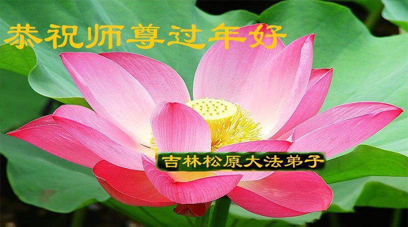 吉林、江西法轮功学员恭祝李洪志大师新年好(38条)