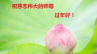山東法輪功學員恭祝李洪志大師新年好(28條)