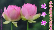 江西、遼寧法輪功學員恭祝李洪志大師新年好(41條)