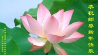 风雨中渐渐成熟　青年法轮功学员恭祝李洪志大师过年好