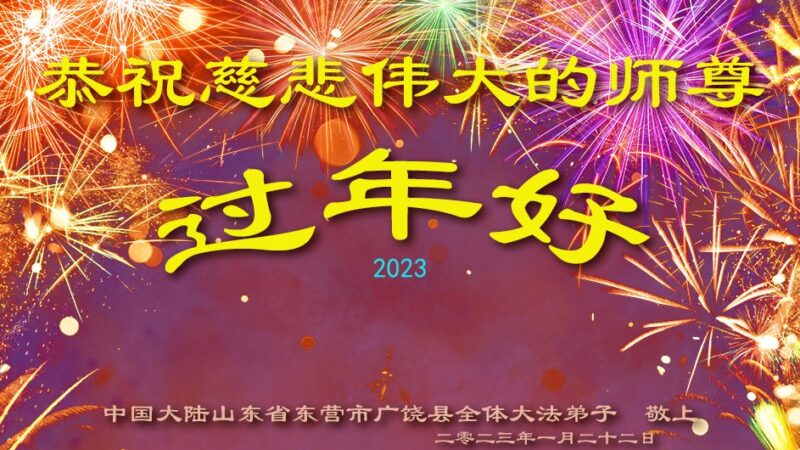 大陆15省市法轮功学员恭祝李洪志大师新年好(22条)