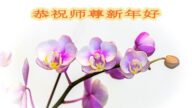 廣東、湖南、廣西、貴州法輪功學員恭祝李洪志大師新年好(30條)
