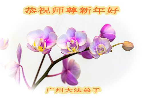 广东、湖南、广西、贵州法轮功学员恭祝李洪志大师新年好(30条)