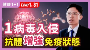 【健康1+1】病毒入侵 抗體增強免疫狀態