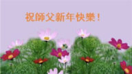 濰坊法輪功學員恭祝李洪志大師新年好(27條)