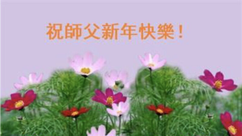 潍坊法轮功学员恭祝李洪志大师新年好(27条)