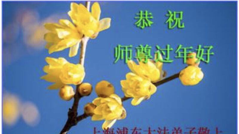 上海法轮功学员恭祝李洪志大师新年好(18条)