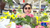 芬芳美豔 越華超市年節花卉上架
