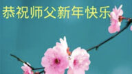 山東法輪功學員恭祝李洪志大師新年好(28條)