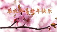 河北法輪功學員恭祝李洪志大師新年好(22條)