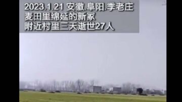 傳有村莊一天死十幾人 中國農村新墳成堆（視頻）