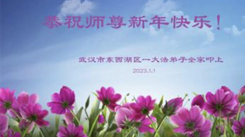 湖北、河北、陝西法輪功學員恭祝李洪志大師新年好(31條)