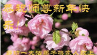 廊坊法輪功學員恭祝李洪志大師新年好(23條)