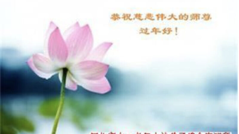 河北法轮功学员恭祝李洪志大师新年好(20条)
