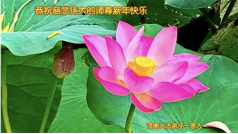 青海、山东、内蒙古、宁夏法轮功学员恭祝李洪志大师新年好(36条)