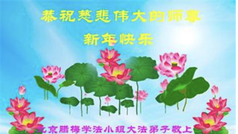 北京、天津、上海法輪功學員恭祝李洪志大師新年好(37條)