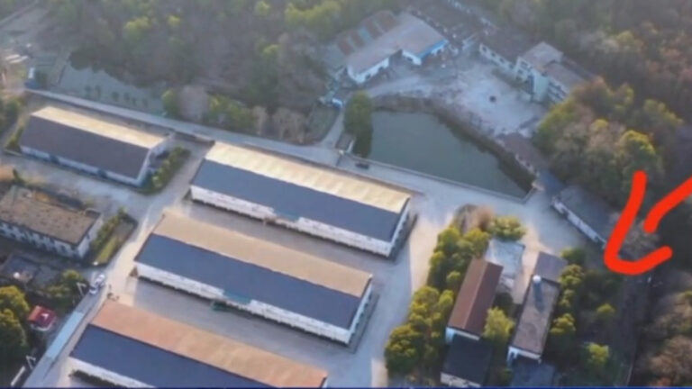 【禁聞】四川開放未婚生育登記 民諷私生子合法化