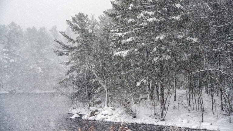 瑞雪兆豐年 加州山區積雪量達40年最高