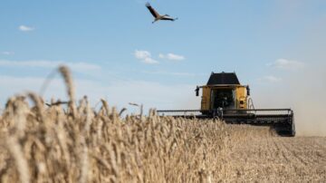 加拿大乾旱 小麥減產 導致全球麵食漲價