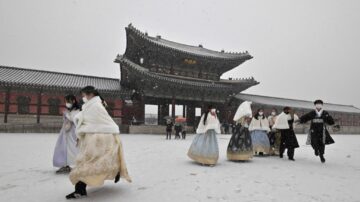 濟州暴雪航班全停飛 韓國各地113船班停駛