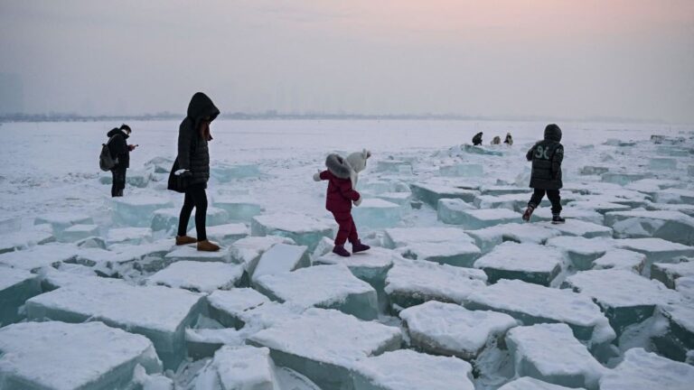 哈爾濱低溫達-20°C 男子穿單褲逛街凍破血管