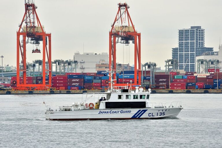 香港貨輪日本外海翻覆4人獲救 日韓動員搜救另18人