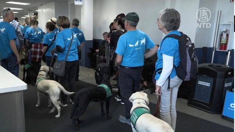 引導視障者搭機 導盲犬幼犬南加集體受訓
