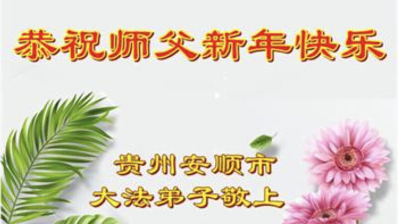 贵州、海南、河南法轮功学员恭祝李洪志大师新年好(32条)