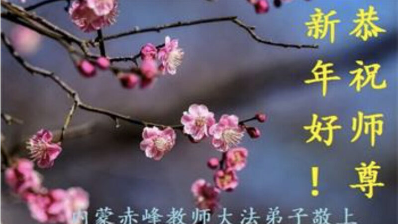 教育系统法轮功学员恭祝李洪志大师新年好(24条)