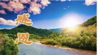 天津法輪功學員恭祝李洪志大師新年好(24條)