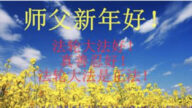 各行業法輪功學員恭祝李洪志大師新年好(27條)