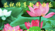 山東法輪功學員恭祝李洪志大師新年好(19條)