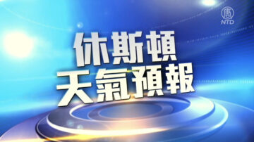 休斯顿一周天气预报