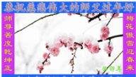 湖北法輪功學員恭祝李洪志大師新年好(26條)