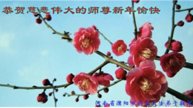 河南、黑龙江、湖南法轮功学员恭祝李洪志大师新年好(38条)