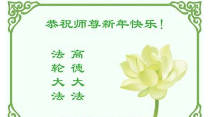 教育系统法轮功学员恭祝李洪志大师新年好(19条)