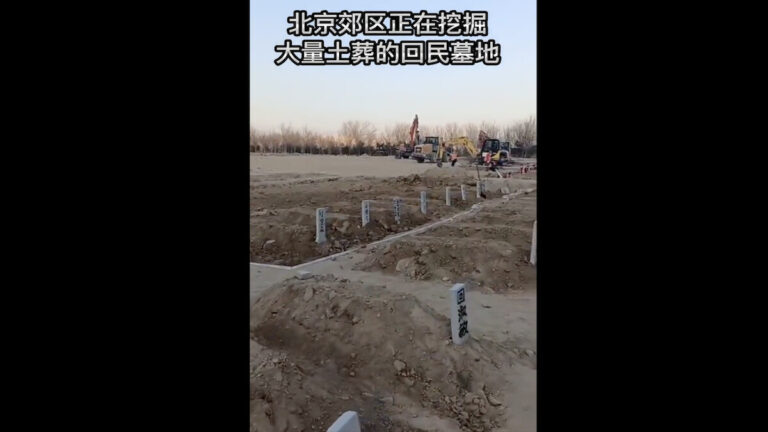 李正寬：三年疫情死四億人 為何很多人未察覺？