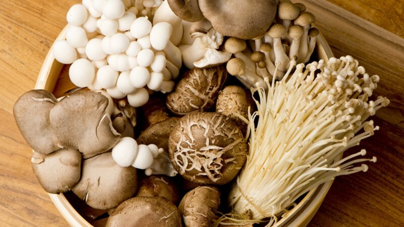 蘑菇具藥用價值 常吃增強免疫力防癌