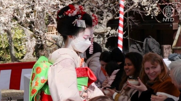 早春漫步正當時 北野天滿宮品茶賞梅