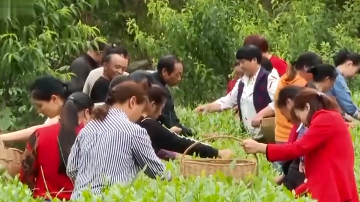 【禁闻】中共以工代赈 将产生新腐败架构?
