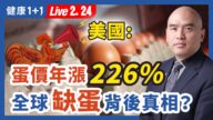 【健康1+1】美國蛋價年漲226％ 全球缺蛋背後真相？