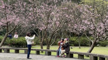 來台自由行抽5000元消費金 交通部擬4月中實施