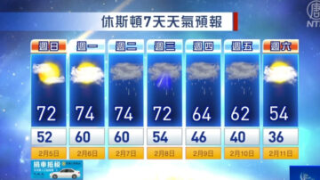 休斯顿一周天气预报