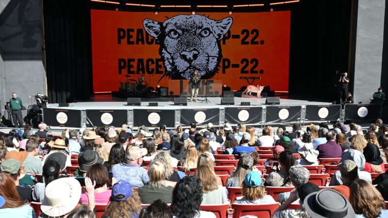 數千民眾紀念山獅P22 呼籲保護野生動物